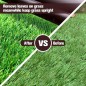 Extendable brush from 0.68 to 1.22 m for Sweeping Artificial GRASS. Product Adapted to Any Type of Lawn Extendable brush from 0.68 to 1.22 m for Sweeping Artificial GRASS. Product Adapted to Any Type of Lawn