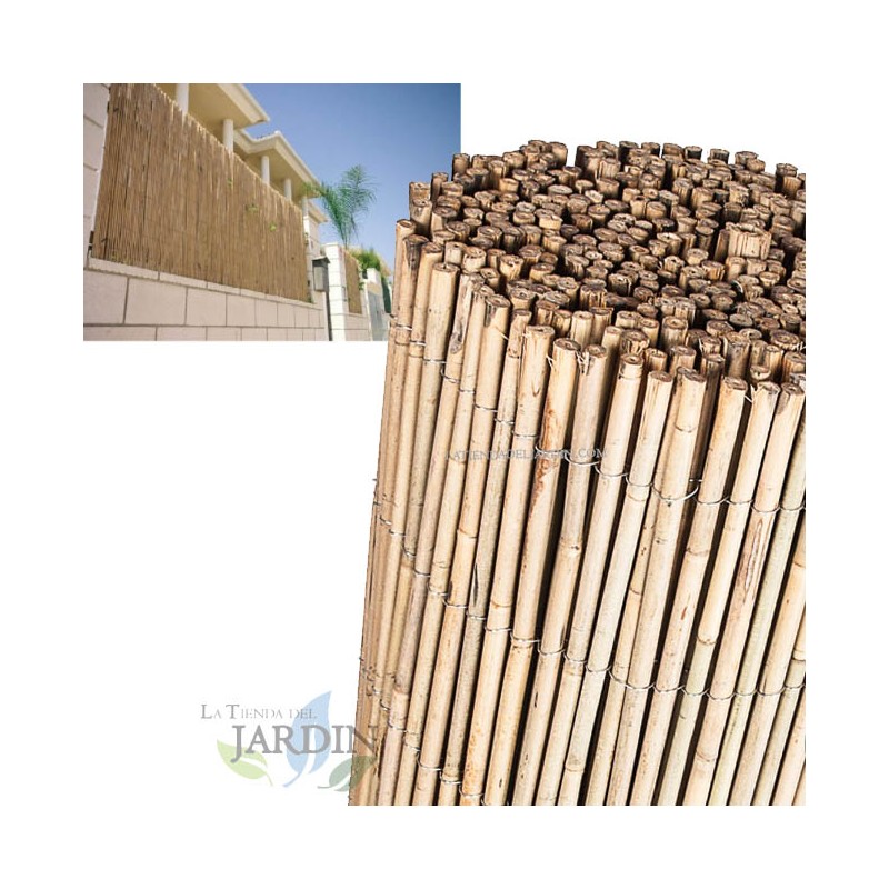 Canisse en bambou naturel entière 1 x 5 mètres, Occultation 95%, tiges de bambou naturelles pour terrasses et jardins