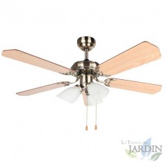 Ventilatore da soffitto con luce, 5 pale reversibili, diametro 105 cm, 3 velocità.