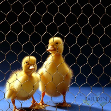 Hexagonal wire mesh 41mm, 0.5 x 10 meters agricultural fencing