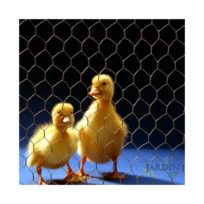 2x Fil de poulet 100 x 50 cm - Treillis métallique / Maille - Matériel de  loisir