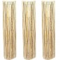 3 x Canisse naturelle fendue pour jardin 1,2 x 5 m. Canisse en Roseau Nature pour l'occultation, la délimitation ou l'ombrage. 3 x Canisse naturelle fendue pour jardin 1,2 x 5 m. Canisse en Roseau Nature pour l'occultation, la délimitation ou l'ombrage.