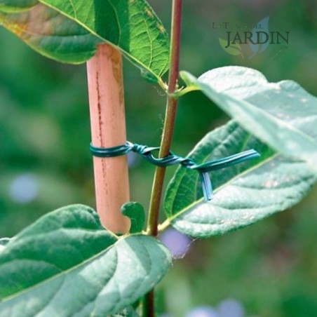 Green plastic coated wire 30 meters