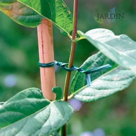 Alambre de Jardín Recubierto de Plástico 100 Metros, Alambre Plastificado Verde, Lazos de Torcedura con Cortador Giratoria