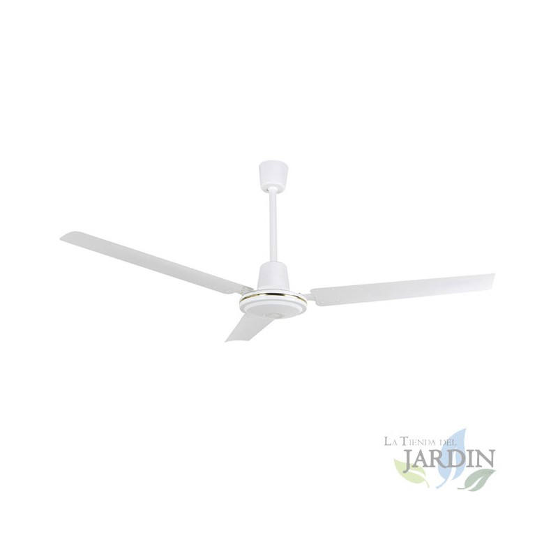 Ventilador de Teto Orbegozo | 5 Velocidades | Motor Silencioso | Interruptor de Parede | 3 Lâminas | 120 cm | 70W | Branco Ventilador de Teto Orbegozo | 5 Velocidades | Motor Silencioso | Interruptor de Parede | 3 Lâminas | 120 cm | 70W | Branco