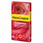 Sustrato especial para rosas y flores, tierra vegetal para jardin, plantas y flores Floragard, 20 litros