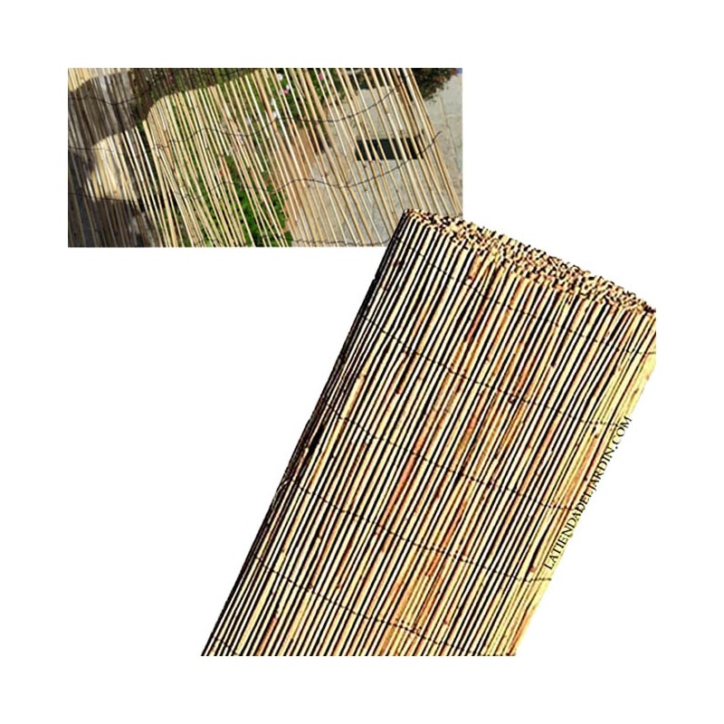 Chinese Bamboo Reed Chinese Bamboo Reed