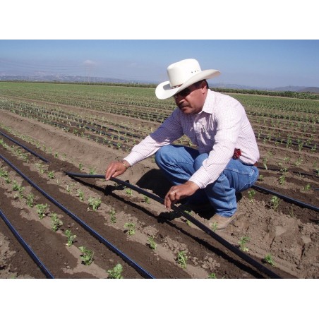 Fita de irrigação por gotejamento de 16 mm, 2.900 metros, calibre 8 mil. Gotejadores de 1,2 l/h por 30 cm.