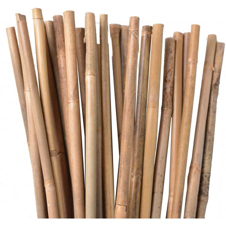 Tutor Bambu plastificado 90 cm, varilla de bambu 6-8 mm (Pack 50). Varillas de bambu ecologicas para sujetar arboles, plantas