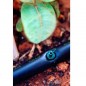 Goce goutteur auto-compensateur avec émetteur auto-nettoyant 2, 3, 4 et 8 l/h Goce goutteur auto-compensateur avec émetteur auto-nettoyant 2, 3, 4 et 8 l/h