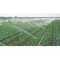 ARROSEUR 5035SD irrigation 3/4'' agricole CIRCULAIRE 360º. Rayon d'action 12-14 m. Débit de 1,24-1,62 m3/heure.(Pack 5)