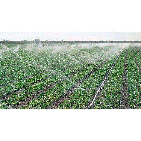 Irrigatore 5035SD, regolabile da 3/4", per irrigazione agricola, 0-360°. Gittata: 12-14 m. Portata: 1,24-1,62 m3/ora.