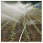Aspersor de Riego Agricola 1/2'' | Aspersores de riego cesped de 6 a 12 m | Aspersor sectorial para Jardin y Agricultura Aspersor de Riego Agricola 1/2'' | Aspersores de riego cesped de 6 a 12 m | Aspersor sectorial para Jardin y Agricultura