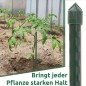 Lot de 10 Tuteur en bambou plastifié 180 cm, diamètre de bambou 14-16 mm. Tiges de bambou écologiques pour attacher les arbres Lot de 10 Tuteur en bambou plastifié 180 cm, diamètre de bambou 14-16 mm. Tiges de bambou écologiques pour attacher les arbres