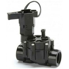 Válvula solenóide de irrigação 1" 24V 100DV Rain Bird