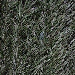 Clôture en Haie artificielle bicolore à feuilles minces 110 tiges, 1,5 x 3 mètres, Brise-Vue décoration occultation 100%, Vert f