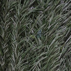 Haie de Jardin Artificielle 1,50x3 m | Clôture de Protection de Jardin à Feuilles bicolore avec Dissimulation à 100%