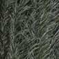 Haie de Jardin Artificielle 1,50x3 m | Clôture de Protection de Jardin à Feuilles bicolore avec Dissimulation à 100% Haie de Jardin Artificielle 1,50x3 m | Clôture de Protection de Jardin à Feuilles bicolore avec Dissimulation à 100%