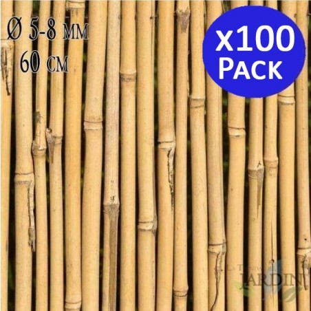 Pack 100 x Tutores de Bambú 60 cm, 5-8 mm. Varillas de bambú, caña bambú ecológica para sujetar árboles, plantas y hortalizas