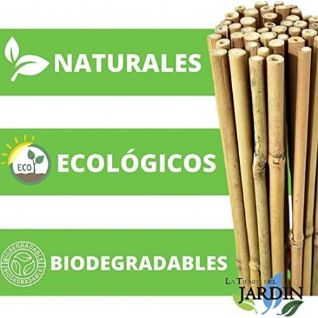 Pack 100 x Tutores de Bambú 90 cm, 6-10 mm. Varillas de bambú, caña bambú ecológica para sujetar árboles, plantas y hortalizas