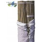 100 x Tutor de bambu natural 90 cm, 6-10 mm. Varillas de bambu ecologicas para sujetar arboles, plantas y hortalizas