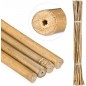 100 x Tutor de bambu natural 90 cm, 6-10 mm. Varillas de bambu ecologicas para sujetar arboles, plantas y hortalizas