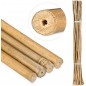 100 x Tuteur en Bambou 60 cm, 5-8 mm. Baguettes de bambou, canne de bambou écologique pour soutenir les arbres