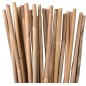 200 x Tutor de bambu natural 210 cm, 14-16 mm. Varillas de bambu ecologicas para sujetar arboles, plantas y hortalizas