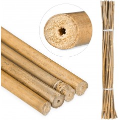 200 x Tuteur en Bambou 150 cm, 10-12 mm, Tubes en Bambou pour Plantes et Arbres, Baguettes de bambou, Canne de bambou, Tuteurs