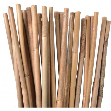 25 x Tutor de bambu natural 180 cm, 12-14 mm. Varillas de bambu ecologicas para sujetar arboles, plantas y hortalizas