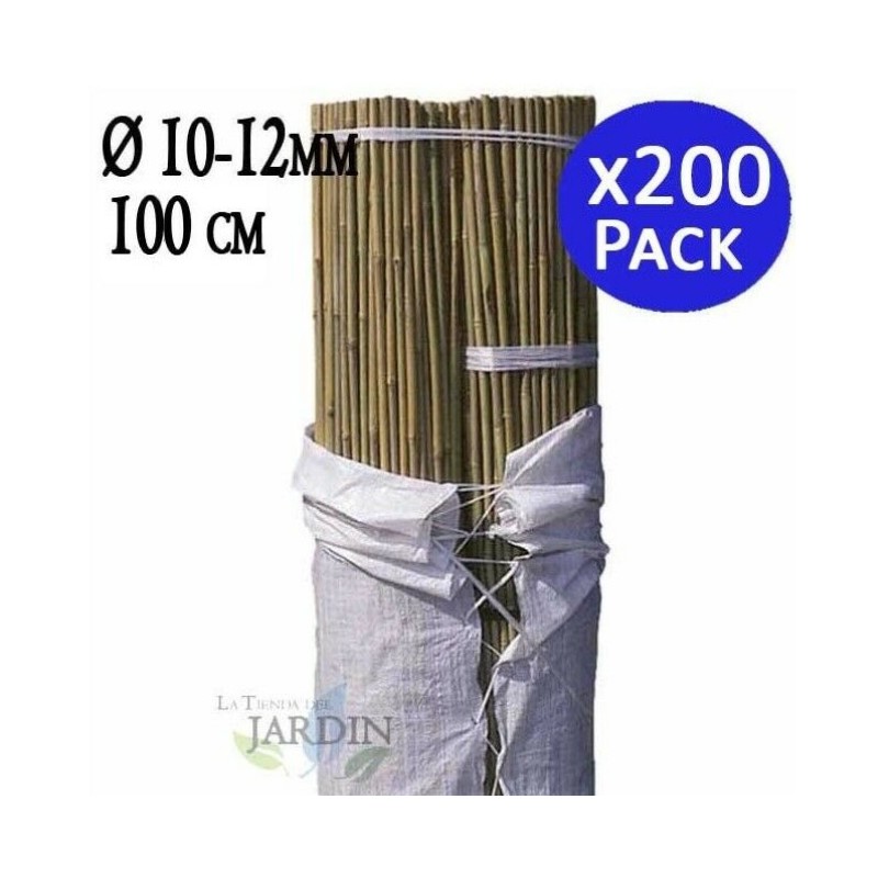 Pack 200 x Tutor de Bambú natural 100 cm, 10-12 mm. Varillas de bambú ecológcias para sujetar árboles, plantas y hortalizas