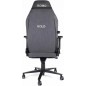 Gold Professional Gamer Chair. 180º inclination, Adjustable Height, 4D Armrest, Cervical and Lumbar Cushion Gold Professional Gamer Chair. 180º inclination, Adjustable Height, 4D Armrest, Cervical and Lumbar Cushion