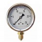 Manometro Sfera Glicerina 0-25 Bar 1/4'' | Misuratore di Pressione | Idraulica e Giardinaggio