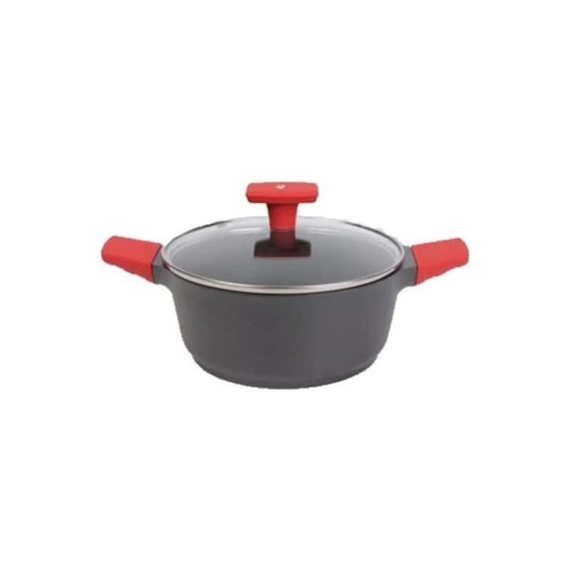 Saucepan with 28 cm tempered glass lid and silicone handles. suitable for induction Saucepan with 28 cm tempered glass lid and silicone handles. suitable for induction