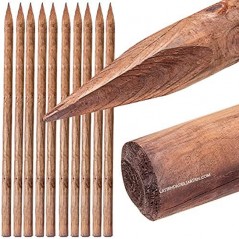 Lot de 20 Tuteur en bois 200 cm Ø 4 cm | Tuteurs avec Pointe | Poteaux en Bois | Piquets de Fixation | Piquets de Jardin