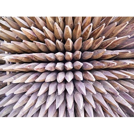 Poteau de support en bois 200 cm, diamètre 3 cm. 20 unités