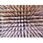 Set di 20 Pali tutori di legno da 200 cm, diametro 3 cm, palo di legno quadrato con punta, palizzata, Punto di fissaggio