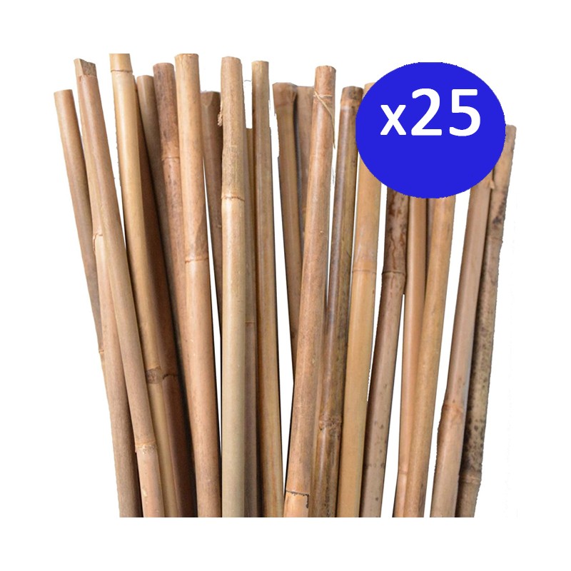 25 x Tuteur en Bambou 100 cm, 8-10 mm, Tubes en Bambou pour Plantes et Arbres, Baguettes de bambou, Canne de bambou, Tuteurs