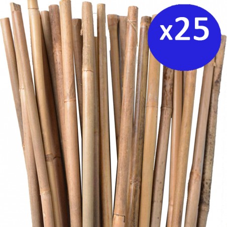 25 x Tuteur en Bambou 100 cm, 8-10 mm, Tubes en Bambou pour Plantes et Arbres, Baguettes de bambou, Canne de bambou, Tuteurs