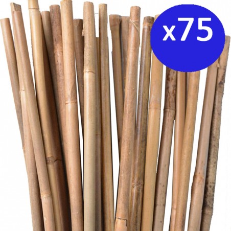 75 x Tutor de bambu natural 120 cm, 8-10 mm. Varillas de bambu ecologicas para sujetar arboles, plantas y hortalizas