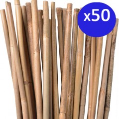 Pack 50 x Tutores de Bambú 120 cm, 8-10 mm. Varillas de bambú, caña bambú ecológica para sujetar árboles, plantas y hortalizas