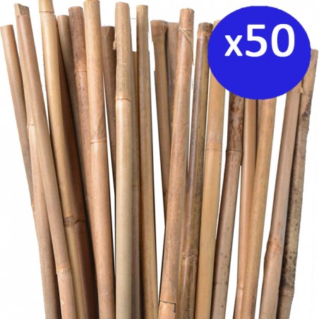 Pack of 50 Bamboo Support Poles, 120 cm, 8-10 mm. Bamboo poles, eco-friendly bamboo cane for supporting trees, plants, and veget