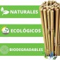 Lot de 200 Tuteur en Bambou 100 cm, 8-10 mm, Tubes en Bambou pour Plantes et Arbres, Baguettes de bambou, Canne de bambou, Tuteu Lot de 200 Tuteur en Bambou 100 cm, 8-10 mm, Tubes en Bambou pour Plantes et Arbres, Baguettes de bambou, Canne de bambou, Tuteu