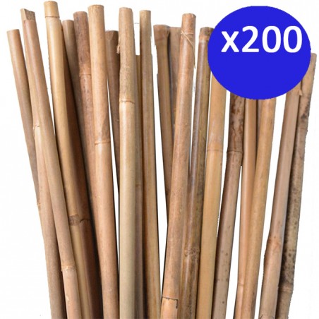 Pack of 200 natural bamboo stakes, 100 cm, 8-10 mm. Eco-friendly bamboo poles for supporting trees, plants, and vegetables.