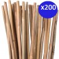 Pack 200 Tutor de Bambu 100 cm (8-10 mm) | Varillas de bambu para Plantas y Arboles | Tutores para Tomates y Plantas trepadoras