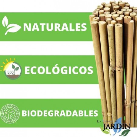 Pack 50 x Tutor de Bambú natural 100 cm, 8-10 mm. Varillas de bambú ecológcias para sujetar árboles, plantas y hortalizas