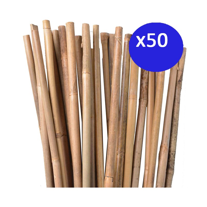 50 x Tuteur en Bambou 100 cm, 8-10 mm, Tubes en Bambou pour Plantes et Arbres, Baguettes de bambou, Canne de bambou, Tuteurs