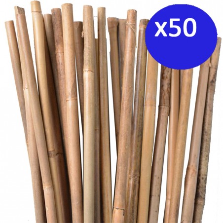 Pack of 50 natural bamboo stakes, 100 cm, 8-10 mm. Eco-friendly bamboo poles for supporting trees, plants, and vegetables.