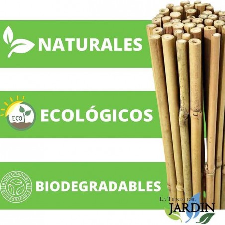Pack 25 x Tutor de Bambú natural 100 cm, 8-10 mm. Varillas de bambú ecológcias para sujetar árboles, plantas y hortalizas