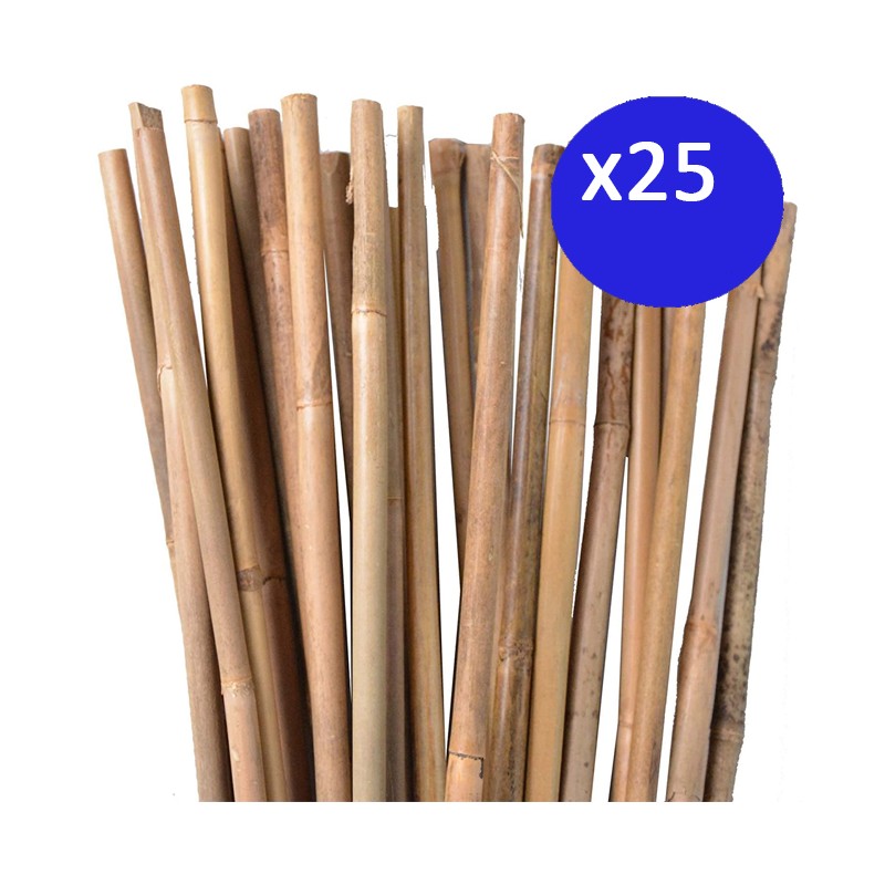 25 x Tutor de bambu natural 100 cm, 8-10 mm. Varillas de bambu ecologicas para sujetar arboles, plantas y hortalizas